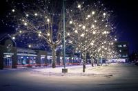 Colorado Christmas Lights image 1